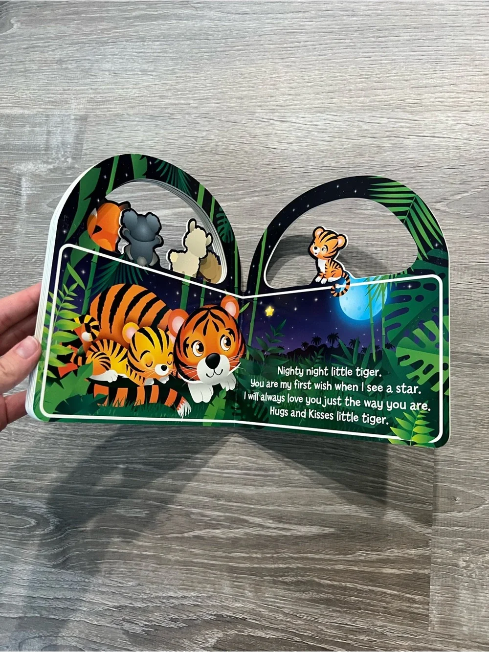 Nighty Night Little One Carry-Along Board Book